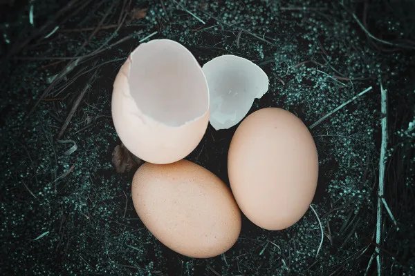 Picture with Easter eggs for magical Easter greetings: three eggs