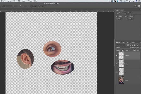 Photoshop para principiantes y niveles intermedios - 3.4 Ordenar y asignar nombres a las capas