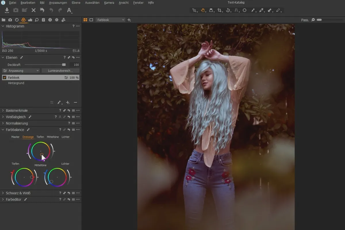 Capture One Pro-Tutorial: 3.2 | Ebenen