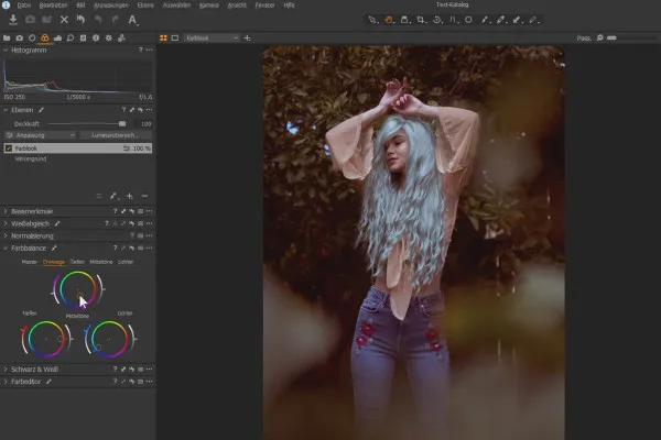 Capture One Pro-Tutorial: 3.2 | Livelli