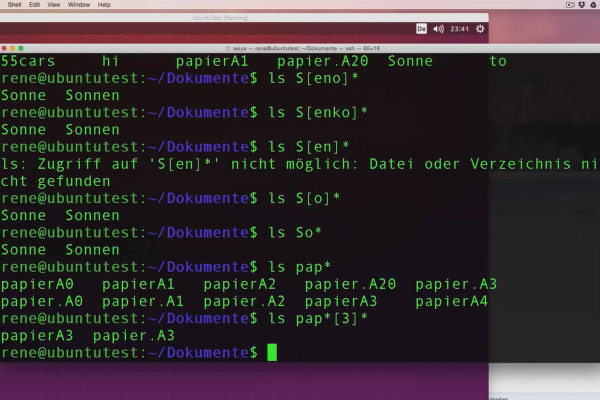 Linux for beginners - 5.3 Wildcards/placeholders under Linux
