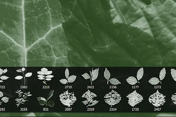 Blätter-Pinsel - Set 5