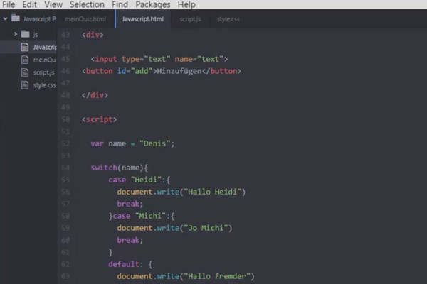 Das ultimative Training für JavaScript und jQuery – 2.6 Switch- und Case-Statement