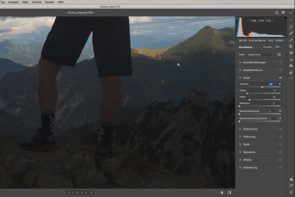 Tutorial su Camera Raw: 3.4 | Sharpening
