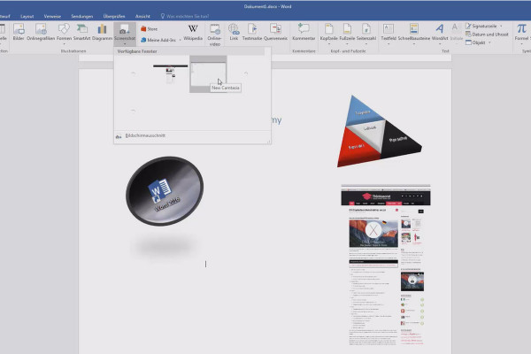 Meglio in Word: Diventa un eroe dei documenti - utilizza 17 schermate, funzione screenshot.