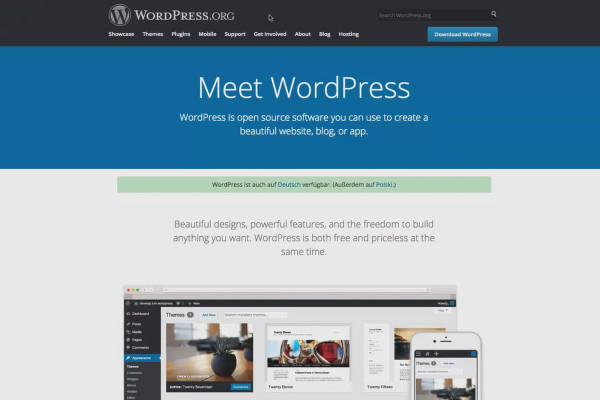 Customer acquisition via Facebook and Google AdWords: 3.1 WordPress