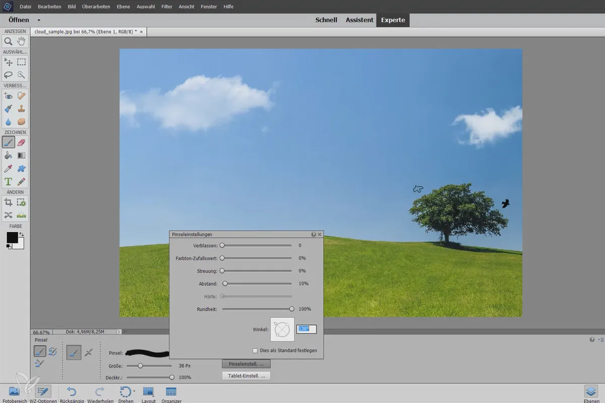 The ultimate brush training: 3 brushes to load in Photoshop Elements