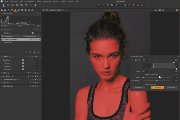 Capture One Pro-Tutorial: 3.3 | Maschere