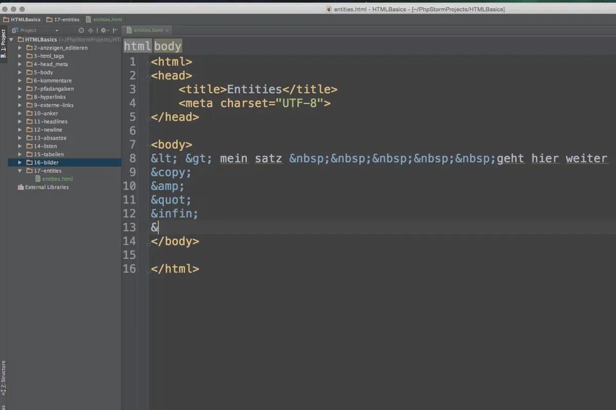 Grundlagen HTML, CSS und JavaScript – 18 HTML-Entitäten verwenden