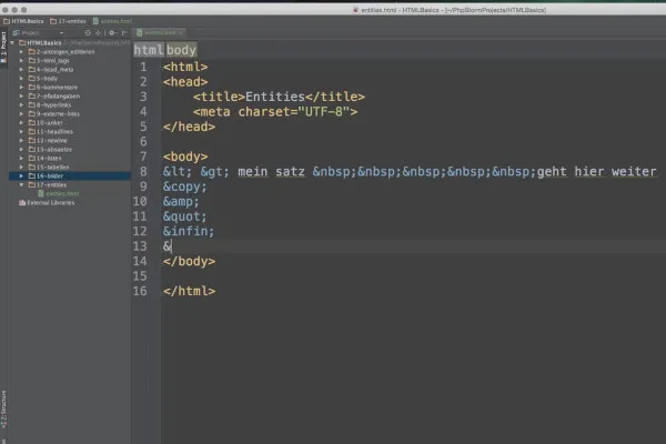 Základy HTML, CSS a JavaScriptu - použití 18 HTML entit.