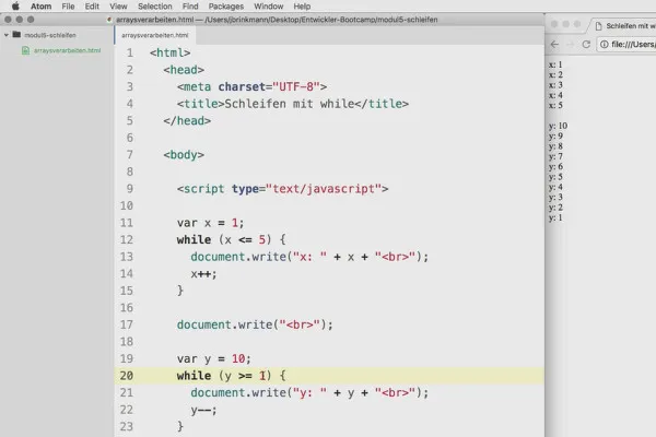 Programmazione software per principianti: 5.1 Cicli con while