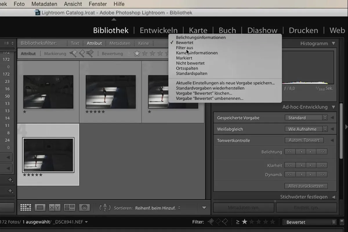 Lightroom para principiantes y expertos: 04 - Catálogo - 4.3 - Filtrar imágenes