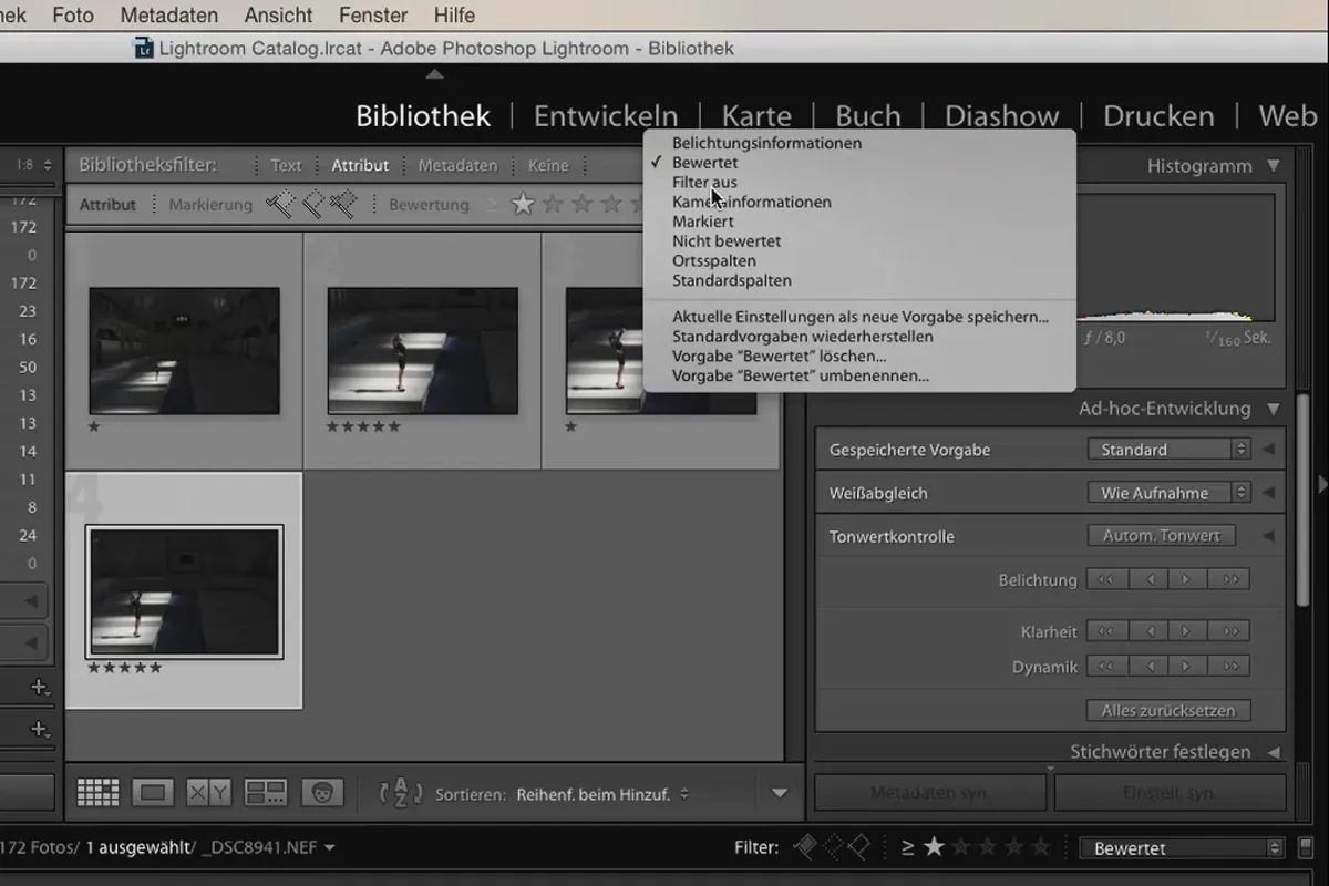 Lightroom für Einsteiger und Aufsteiger: 04 - Katalog - 4.3 - Bilder filtern