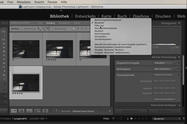 Lightroom pour les débutants et les initiés : 04 - Catalogue - 4.3 - Filtrer les images