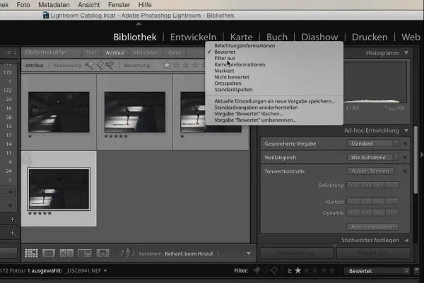 Lightroom para principiantes y expertos: 04 - Catálogo - 4.3 - Filtrar imágenes