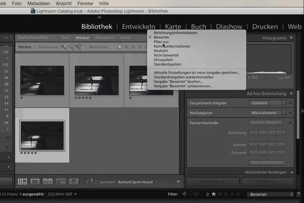 Lightroom für Einsteiger und Aufsteiger: 04 - Katalog - 4.3 - Bilder filtern