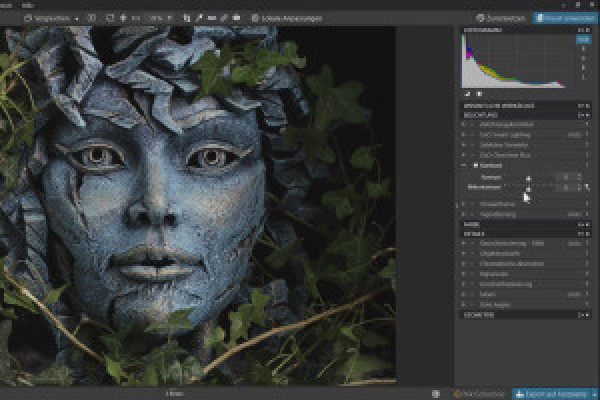 DxO PhotoLab-Tutorial: 3.5 | Kontrast

DxO PhotoLab Öğretici: 3.5 | Kontrast