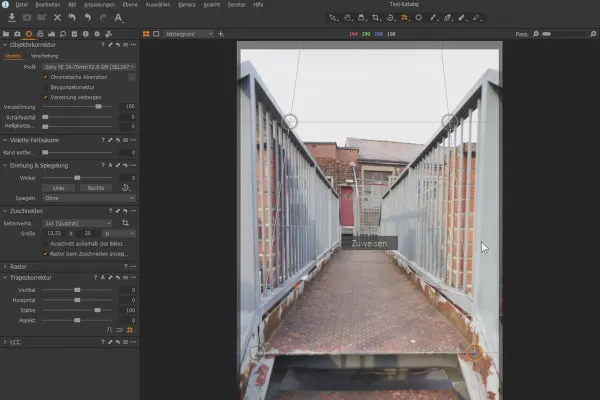 Tutorial di Capture One Pro: 3.4 | Strumenti dell'obiettivo