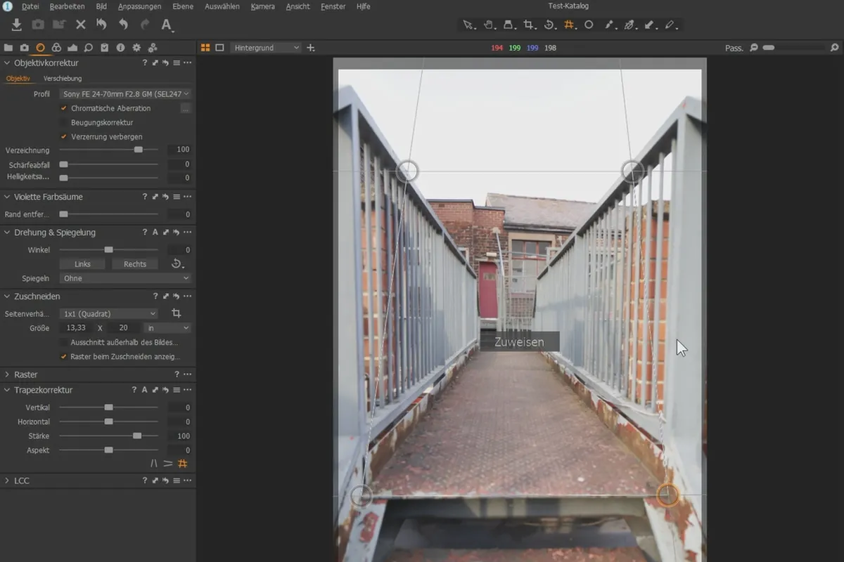 Tutorial di Capture One Pro: 3.4 | Strumenti dell'obiettivo