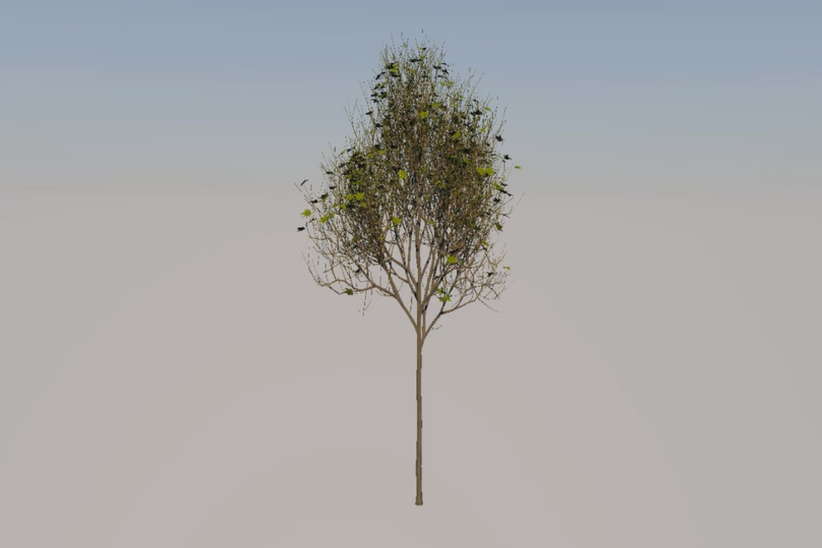 Laubværk til Cinema 4D: Laubværk Plants Kits - 02 Yderligere indstillinger.