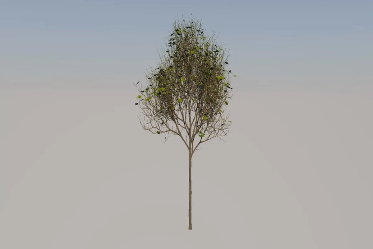 시네마 4D용 Laubwerk: Laubwerk Plants Kits - 02 추가 설정