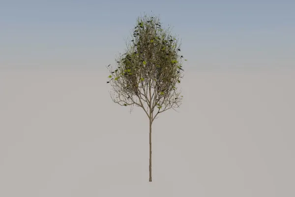 시네마 4D용 Laubwerk: Laubwerk Plants Kits - 02 추가 설정