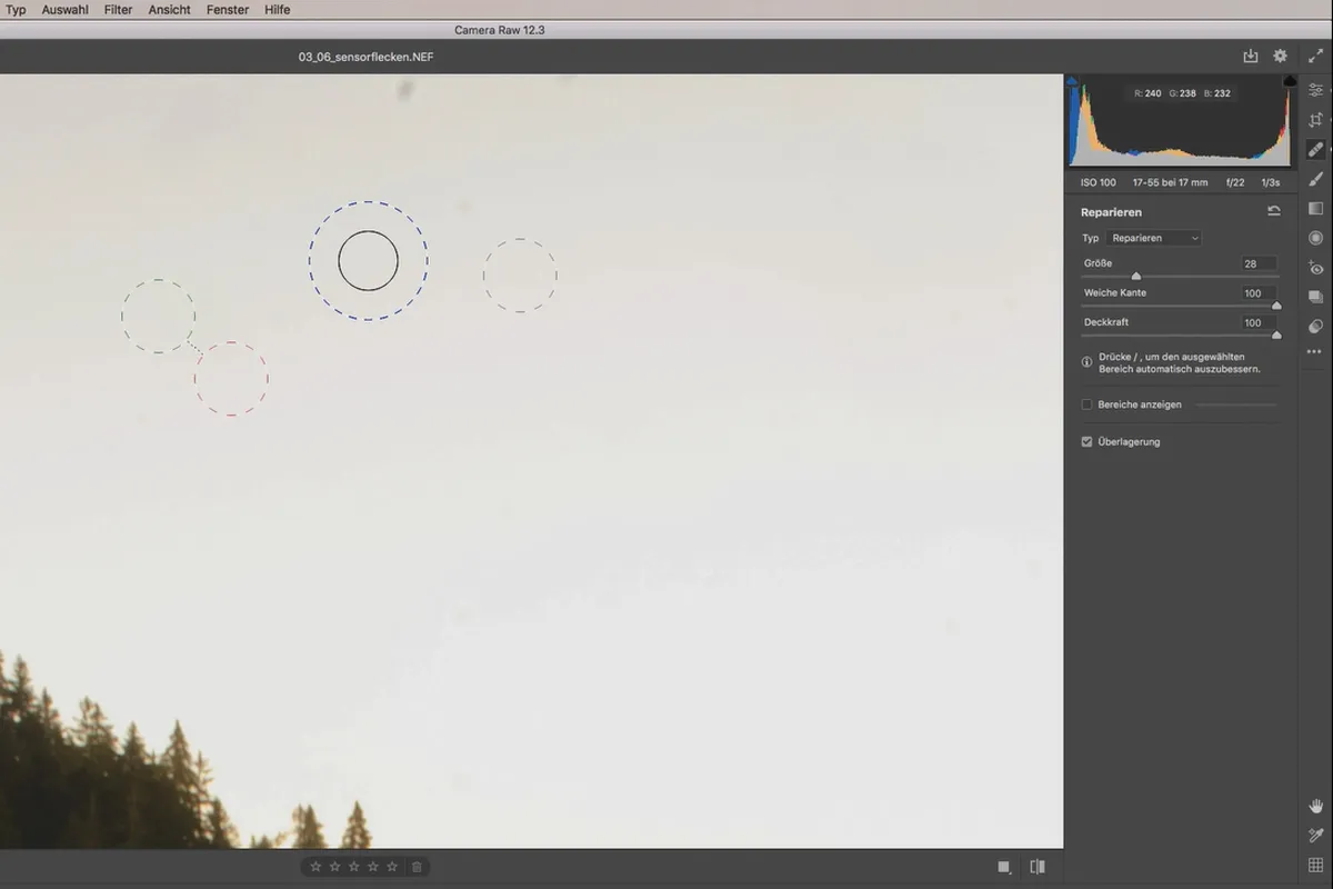 Camera Raw-opplæring: 3.6 | Sensordrypp