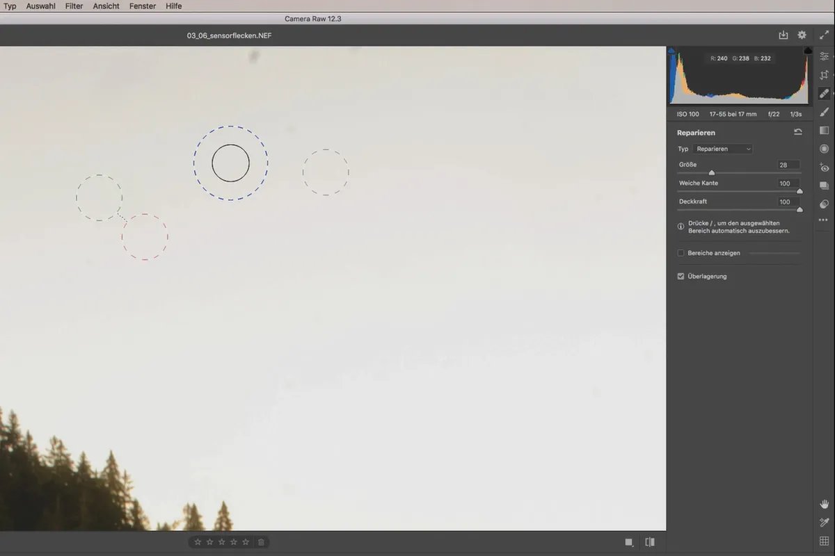 Camera Raw-Tutorial: 3.6 | Sensorflecken