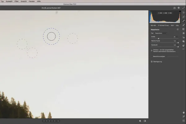 Camera Raw-opplæring: 3.6 | Sensordrypp