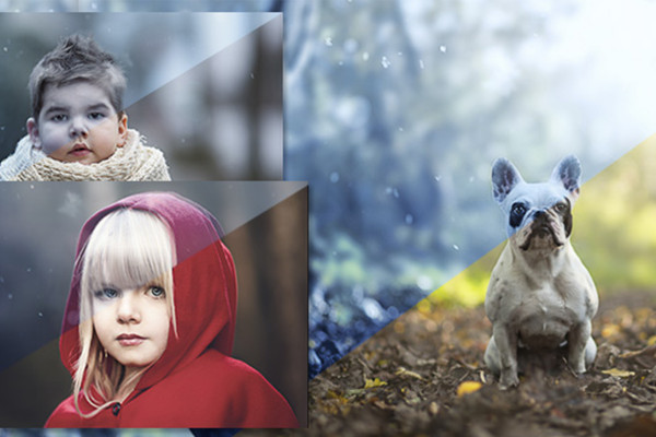 4 Seasons - Aktivitetspakke for vinterstiler