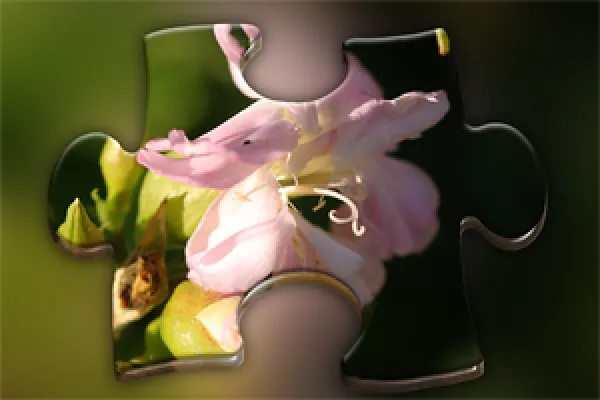 Acțiune Photoshop: 3D-piesă de puzzle 2.