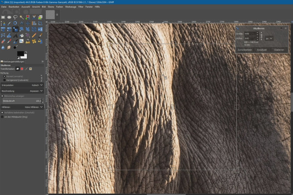 New features in GIMP 2.10: 2.10 | Scale tool