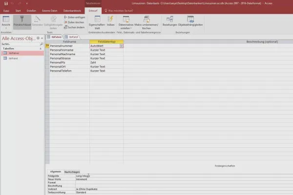 Besser in Access: Werde zum Daten-Helden – 4.1 Unsere Limousinen-Datenbank erstellen