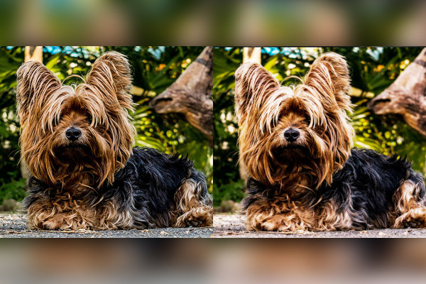 Photoshop-åtgärd: Krämig färg effekt