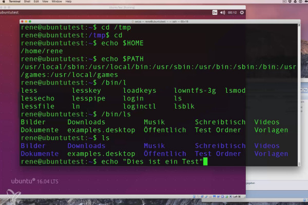 Linux for beginners - 5.7 Displaying values with echo