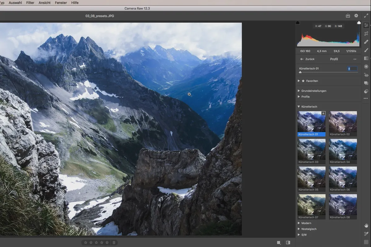 Camera Raw-Tutorial: 3.8 | Presets