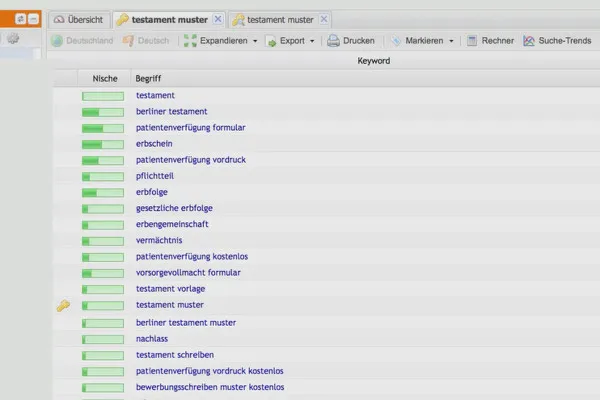 Tjene penge med AdSense-formlen - 4.6 Keywords fortolkes: Download-intention?