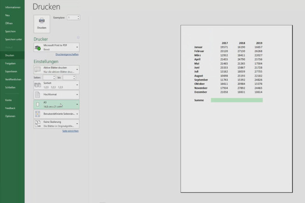 Excel tutorial: Pivot, charts and table design for clear data presentation - 3.7 Print settings on all worksheets