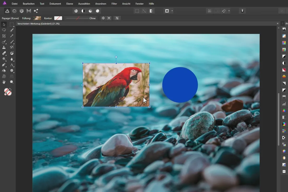 Affinity Photo-Tutorial – Grundlagen: 3.2 | Verschieben-Werkzeug