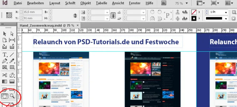"InDesign" rankų ir priartinimo įrankiai
