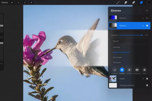 Procreate-Tutorial – Grundlagen zum digitalen Zeichnen auf dem iPad: 3.8 | Ebenen-Überblendmodi: Aufhellen und Kontrast