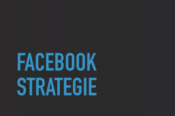 Igangsætning af virksomhed: start succesfuldt som freelancer: 2.11 Facebook-annoncer