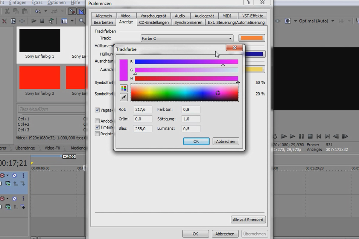 VEGAS Pro: Layout Del 2