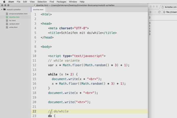 Software programming for beginners: 5.5 Loops with do/while