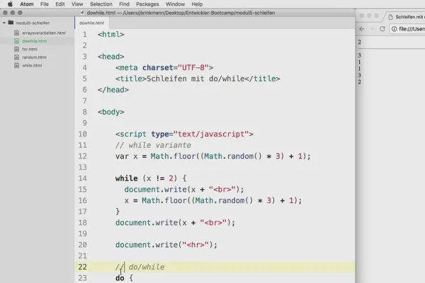 Programmazione software per principianti: 5.5 Cicli con do/while