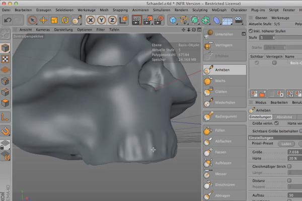 Sculpting in CINEMA 4D - Kreativträning: Del 08 - Maxilla
