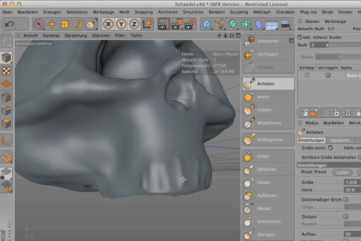 Sculpting in CINEMA 4D - Kreativtraining: Teil 08 - Maxilla