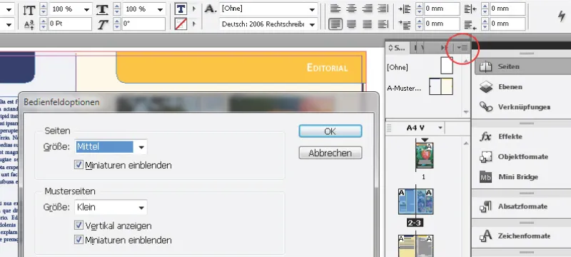 Navigacija ir peržiūros režimai programoje "InDesign