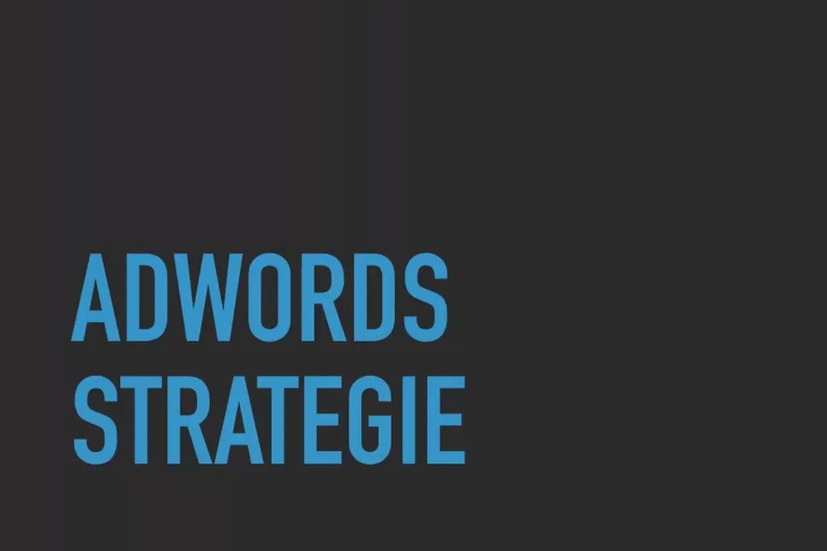 Etablering av virksomhet: å starte som freelancer og lykkes: 2.12 Google AdWords.