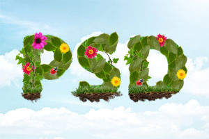 Florale Schrift in Photoshop
